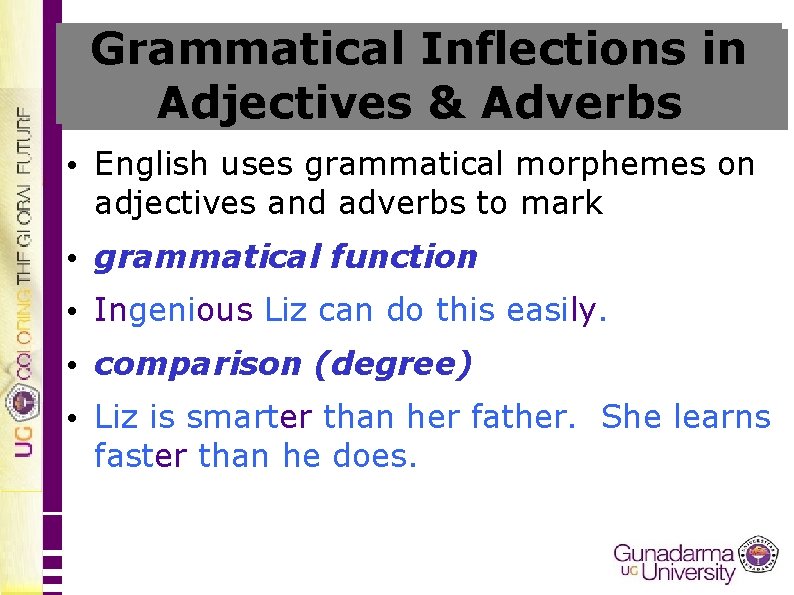 Grammatical Inflections in Adjectives & Adverbs • English uses grammatical morphemes on adjectives and