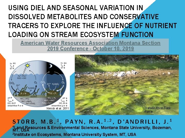 USING DIEL AND SEASONAL VARIATION IN DISSOLVED METABOLITES AND CONSERVATIVE TRACERS TO EXPLORE THE