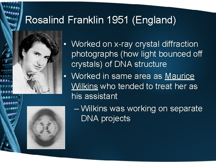 Rosalind Franklin 1951 (England) • Worked on x-ray crystal diffraction photographs (how light bounced