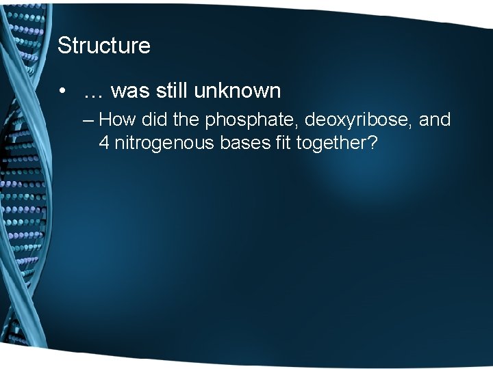 Structure • … was still unknown – How did the phosphate, deoxyribose, and 4