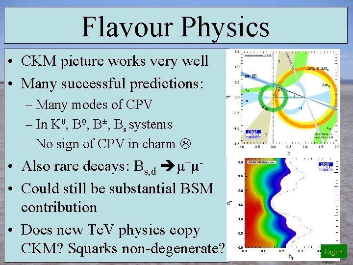 Flavour Physics • CKM picture works very well • Many successful predictions: – Many