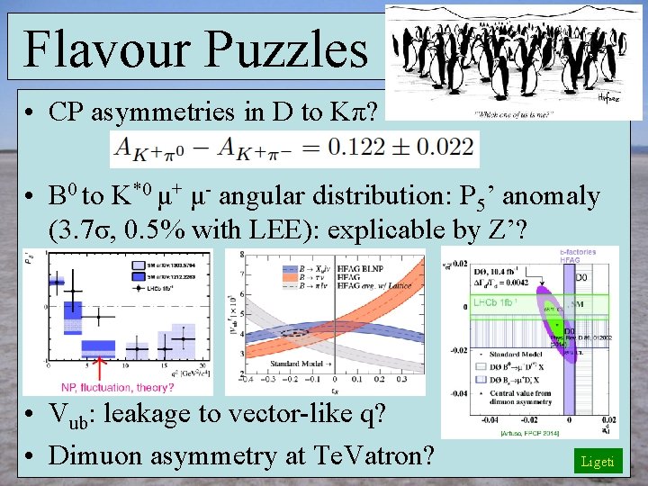 Flavour Puzzles • CP asymmetries in D to Kπ? • B 0 to K*0