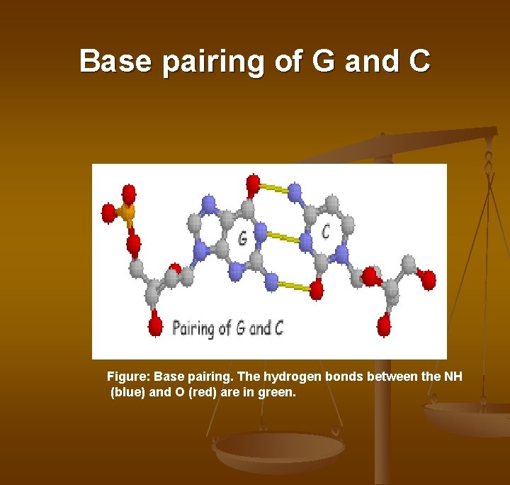 Base pairing of G and C Figure: Base pairing. The hydrogen bonds between the