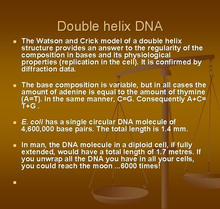 Double helix DNA n The Watson and Crick model of a double helix structure