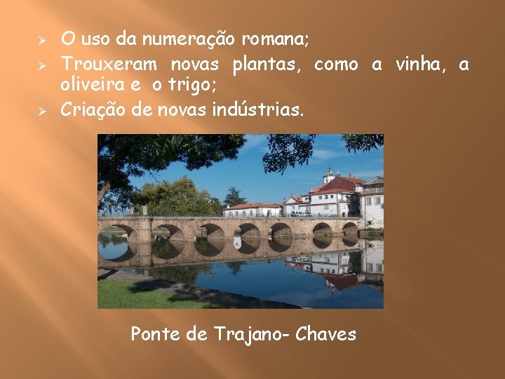 Ø Ø Ø O uso da numeração romana; Trouxeram novas plantas, como a vinha,