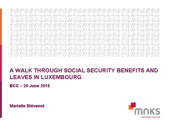 A WALK THROUGH SOCIAL SECURITY BENEFITS AND LEAVES IN LUXEMBOURG BCC – 20 June