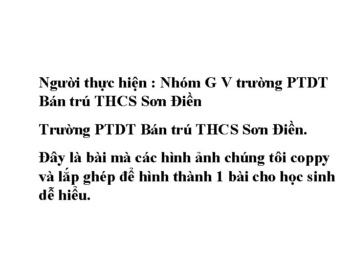 Người thực hiện : Nhóm G V trường PTDT Bán trú THCS Sơn Điền