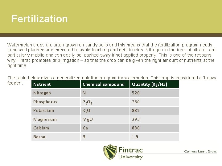 Fertilization Watermelon crops are often grown on sandy soils and this means that the