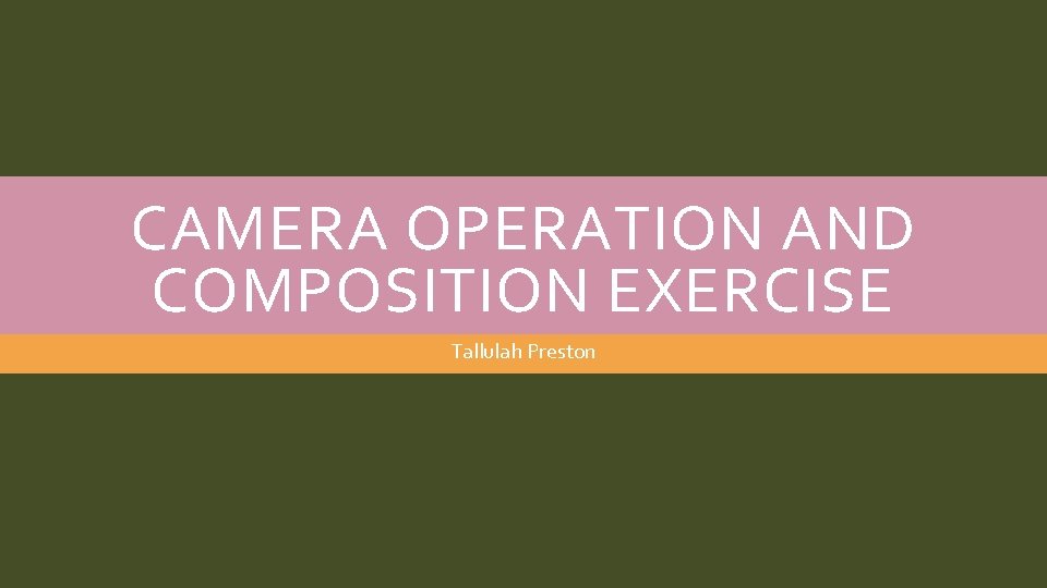 CAMERA OPERATION AND COMPOSITION EXERCISE Tallulah Preston 