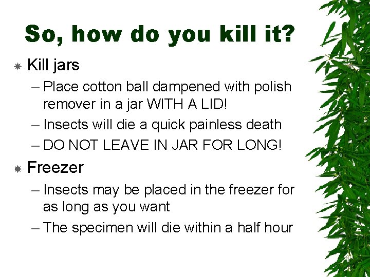 So, how do you kill it? Kill jars – Place cotton ball dampened with So, how do you kill it? Kill jars – Place cotton ball dampened with