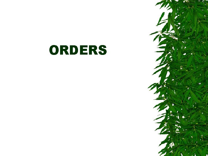 ORDERS ORDERS