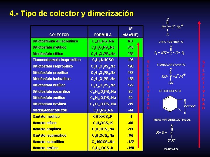 4. - Tipo de colector y dimerización S II + R P - S