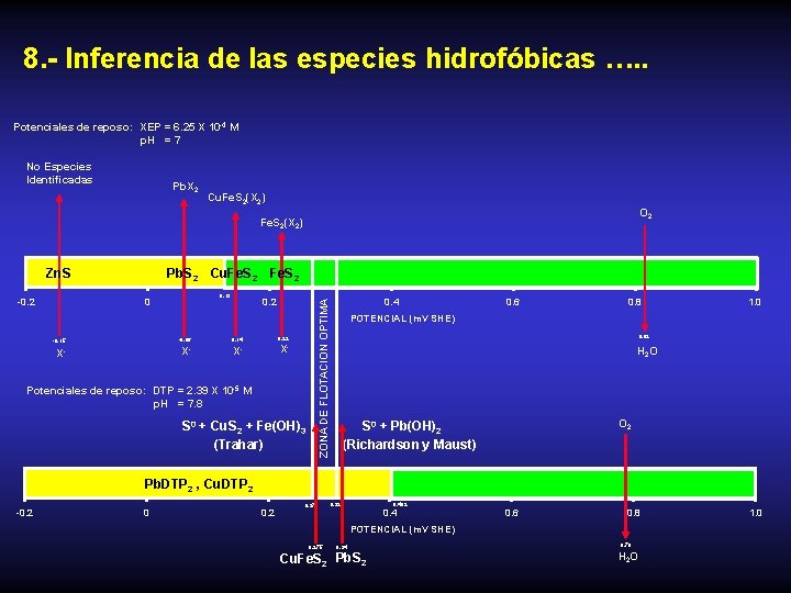 8. - Inferencia de las especies hidrofóbicas …. . Potenciales de reposo: XEP =