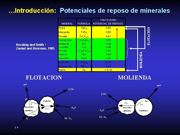 …Introducción: Potenciales de reposo de minerales Pirita Fe. S 2 0. 66 Marcasita Fe.