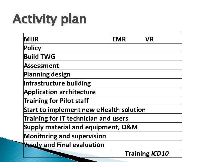 Activity plan MHR EMR VR Policy Build TWG Assessment Planning design Infrastructure building Application