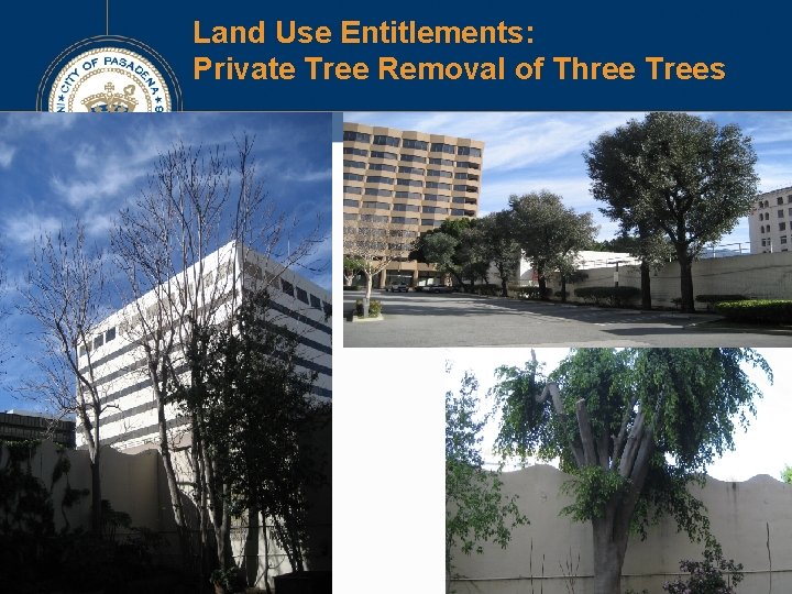 Land Use Entitlements: Private Tree Removal of Three Trees Land Use Entitlements: Private Tree Removal of Three Trees