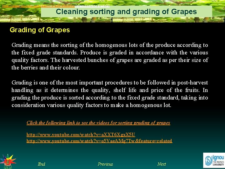 http: //www. youtube. com/watch? v=a. XXT 6 Xgx. X 5 U (grapes sorting grading)