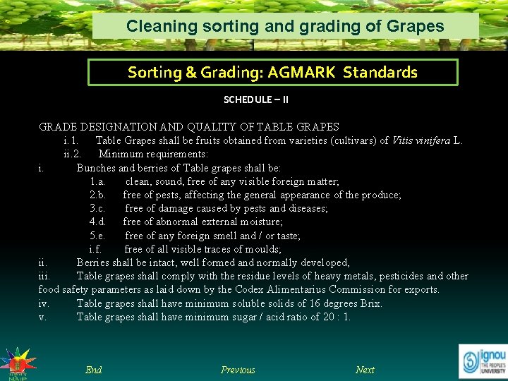 Cleaning sorting and grading of Grapes Sorting & Grading: AGMARK Standards SCHEDULE – II