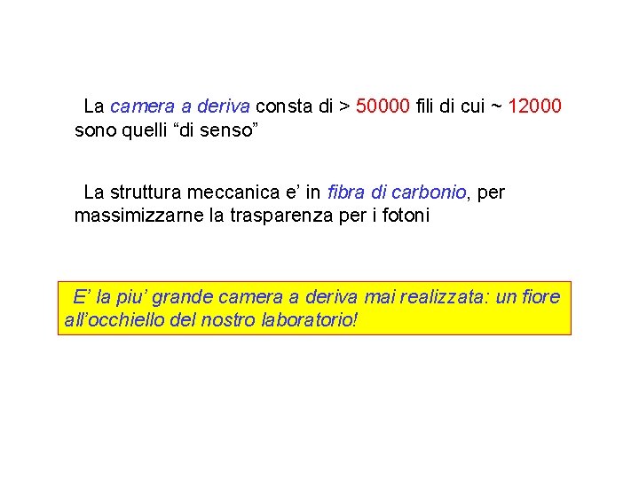 La camera a deriva consta di > 50000 fili di cui ~ 12000 sono