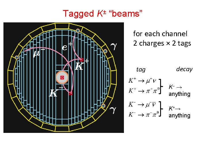 Tagged K± “beams” for each channel 2 charges × 2 tags tag decay K–