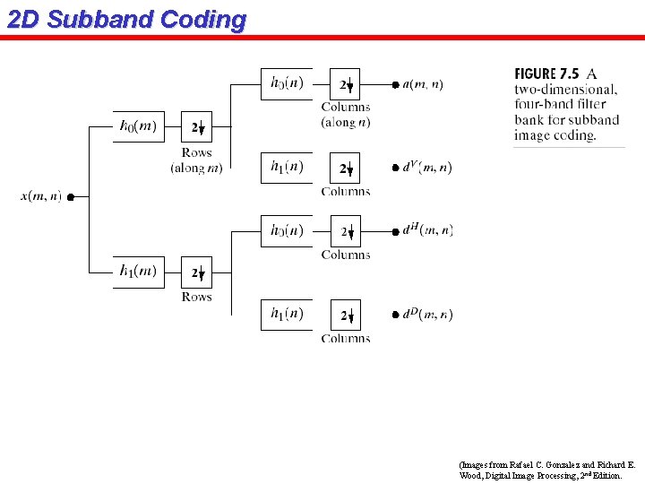 2 D Subband Coding (Images from Rafael C. Gonzalez and Richard E. Wood, Digital