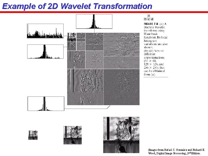 Example of 2 D Wavelet Transformation (Images from Rafael C. Gonzalez and Richard E.