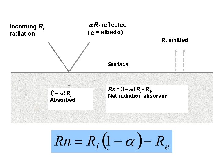 αRi reflected Incoming Ri radiation (α= albedo) Re emitted Surface (1 -α)Ri Absorbed Rn