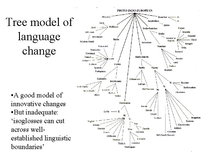 Tree model of language change • A good model of innovative changes • But