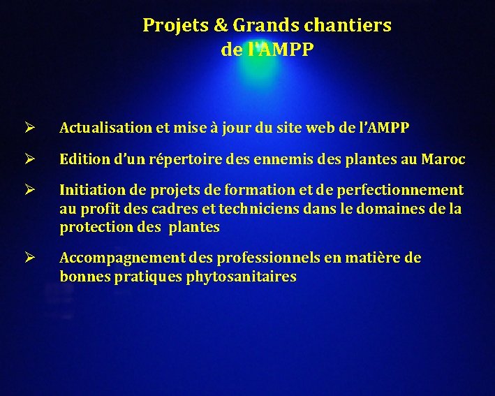 Projets & Grands chantiers de l’AMPP Ø Actualisation et mise à jour du site