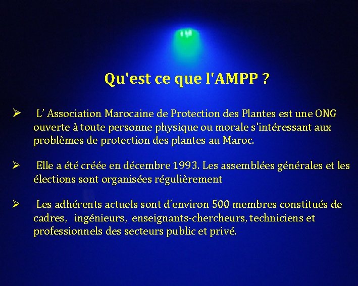 Qu'est ce que l'AMPP ? Ø L’ Association Marocaine de Protection des Plantes est