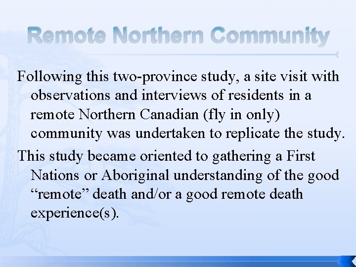 Remote Northern Community Following this two-province study, a site visit with observations and interviews