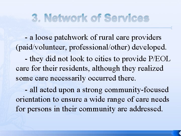 3. Network of Services - a loose patchwork of rural care providers (paid/volunteer, professional/other)