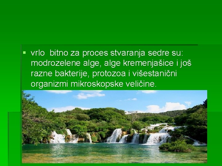 § vrlo bitno za proces stvaranja sedre su: modrozelene alge, alge kremenjašice i još