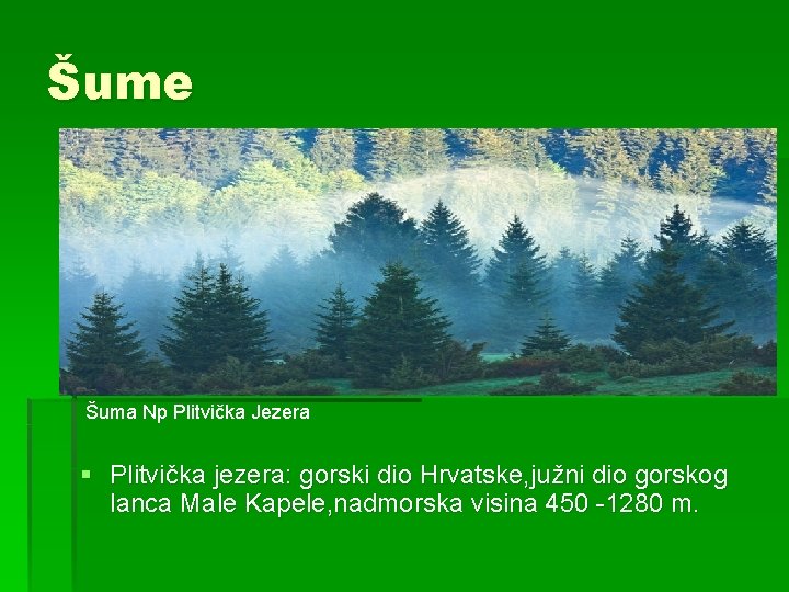 Šume Šuma Np Plitvička Jezera § Plitvička jezera: gorski dio Hrvatske, južni dio gorskog