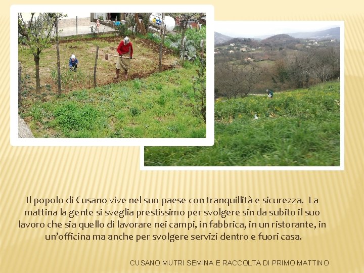 Il popolo di Cusano vive nel suo paese con tranquillità e sicurezza. La mattina Il popolo di Cusano vive nel suo paese con tranquillità e sicurezza. La mattina