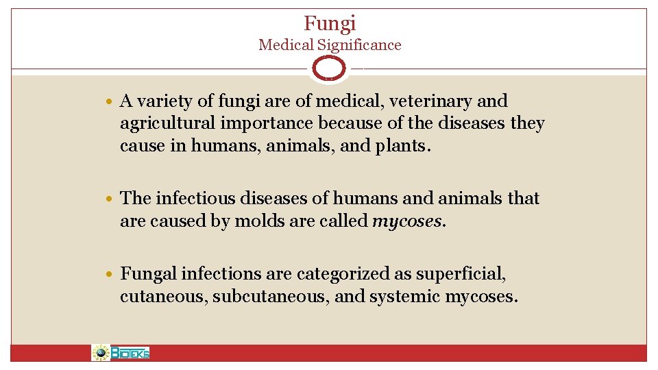 Fungi Medical Significance • A variety of fungi are of medical, veterinary and agricultural