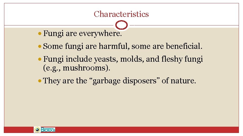 Characteristics • Fungi are everywhere. • Some fungi are harmful, some are beneficial. •