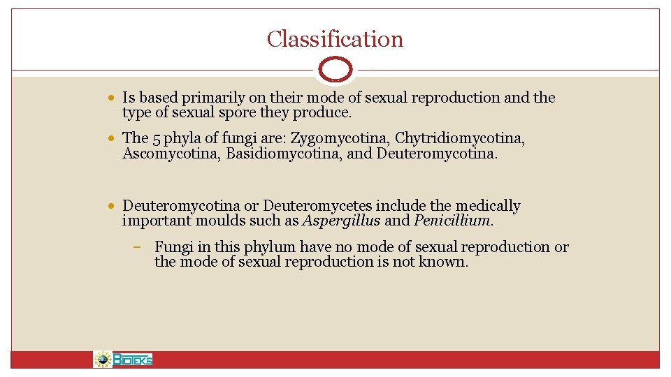 Classification • Is based primarily on their mode of sexual reproduction and the type