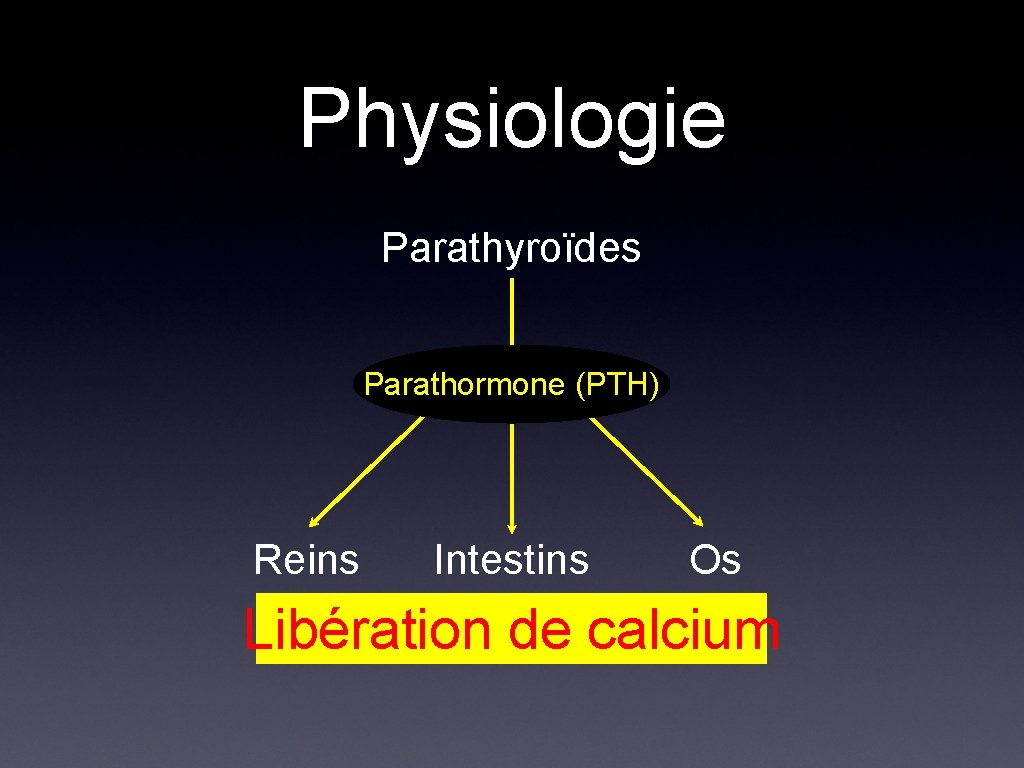 Physiologie Parathyroïdes Parathormone (PTH) Reins Intestins Os Libération de calcium 