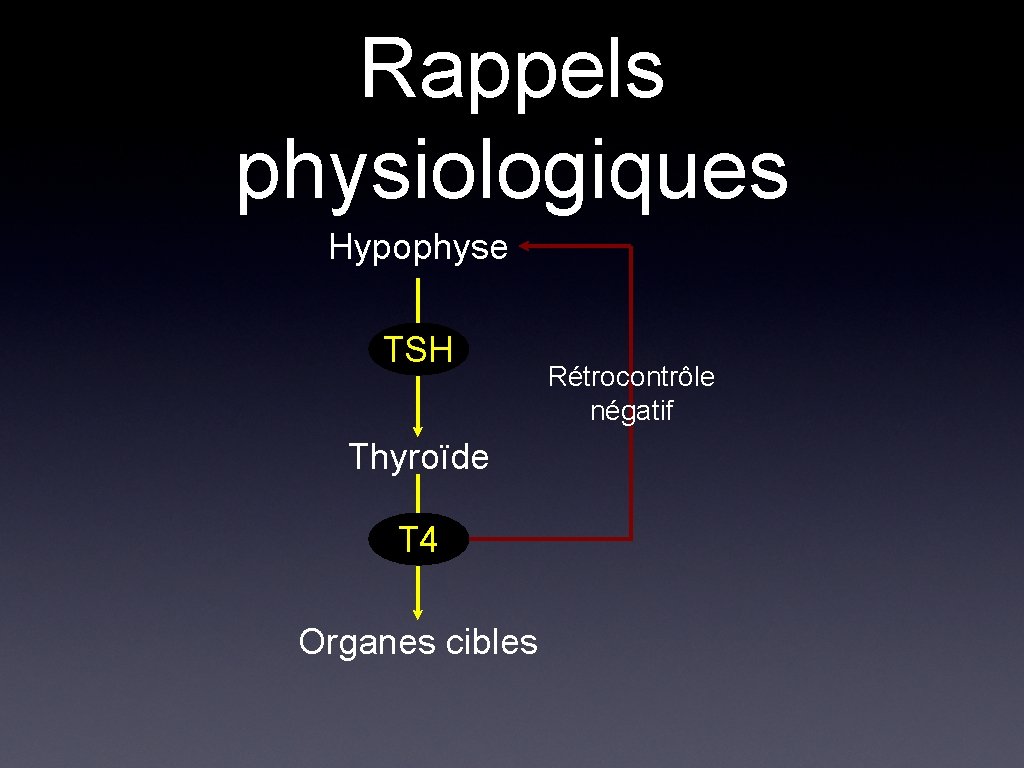 Rappels physiologiques Hypophyse TSH Thyroïde T 4 Organes cibles Rétrocontrôle négatif 