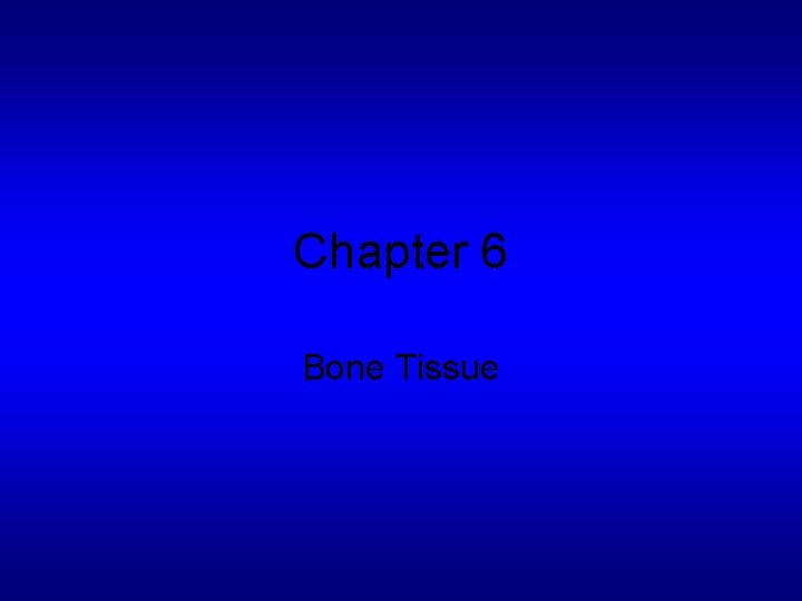 Chapter 6 Bone Tissue 