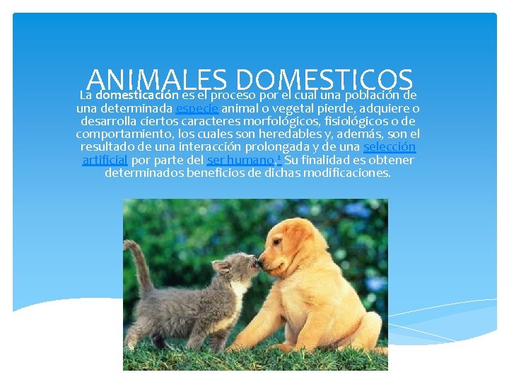 ANIMALES DOMESTICOS La domesticación es el proceso por el cual una población de una