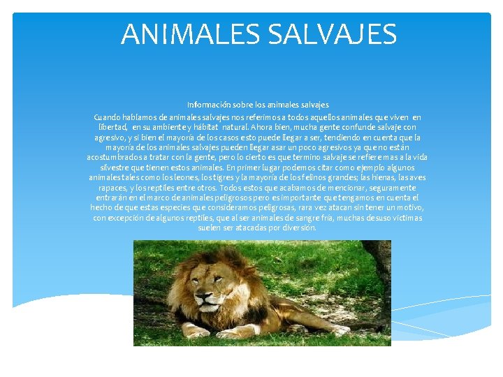 ANIMALES SALVAJES Información sobre los animales salvajes Cuando hablamos de animales salvajes nos referimos