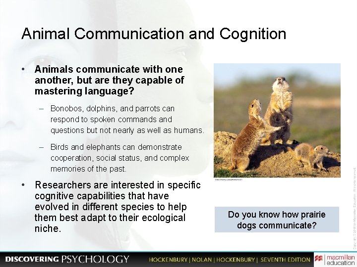 Animal Communication and Cognition • Animals communicate with one another, but are they capable