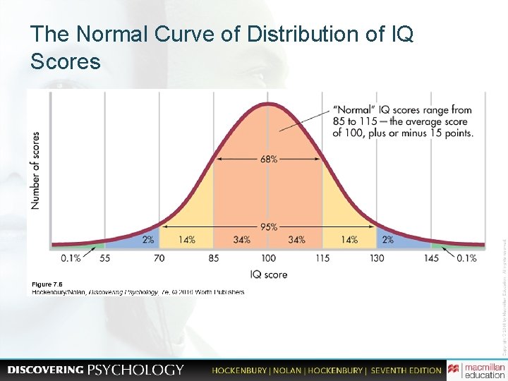 The Normal Curve of Distribution of IQ Scores 