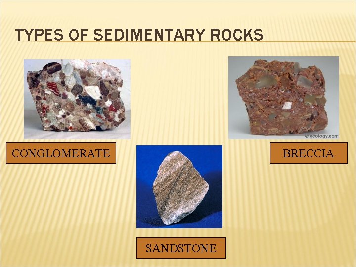 TYPES OF SEDIMENTARY ROCKS CONGLOMERATE BRECCIA SANDSTONE 