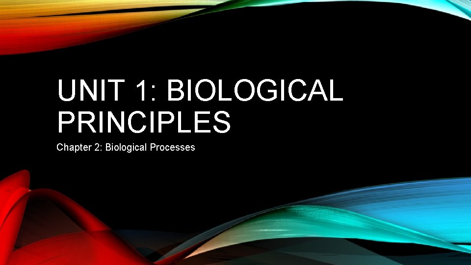 UNIT 1: BIOLOGICAL PRINCIPLES Chapter 2: Biological Processes 