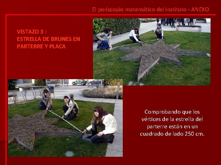 El periscopio matemático del instituto - ANEXO VISTAZO 3 : ESTRELLA DE BRUNES EN