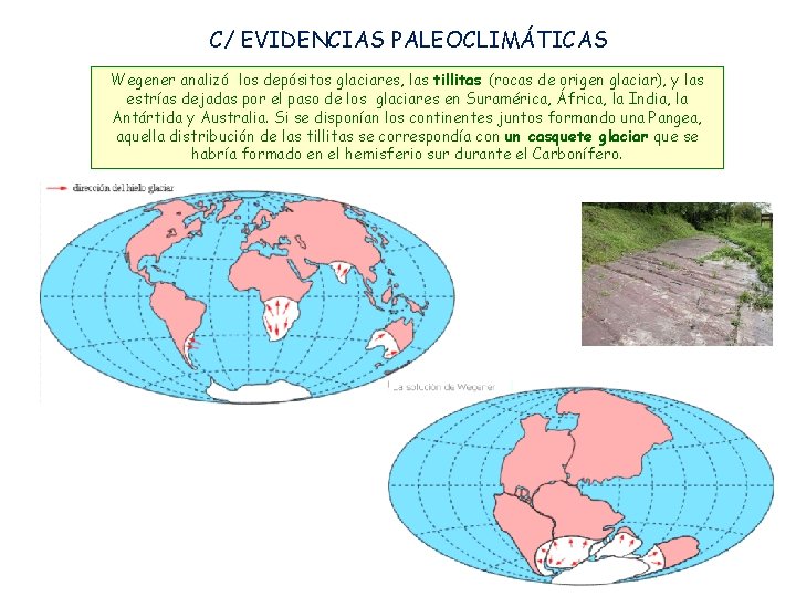 C/ EVIDENCIAS PALEOCLIMÁTICAS Wegener analizó los depósitos glaciares, las tillitas (rocas de origen glaciar),