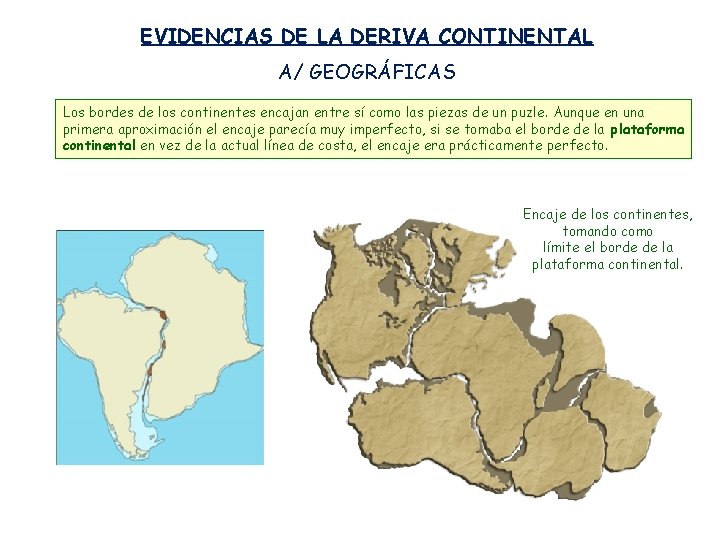 EVIDENCIAS DE LA DERIVA CONTINENTAL A/ GEOGRÁFICAS Los bordes de los continentes encajan entre